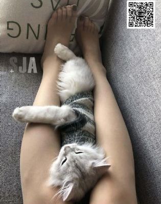 野花视频日本