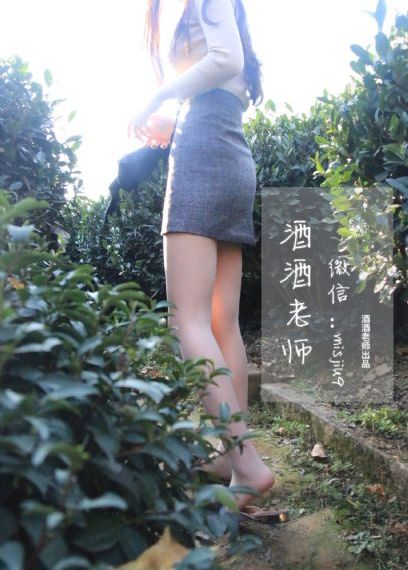 大秦赋电视连续剧