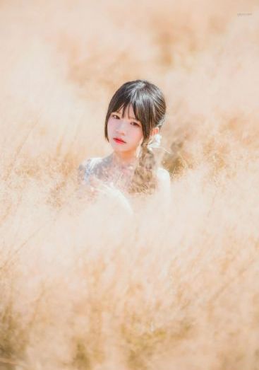 女人与雄性宠物交免费看网站