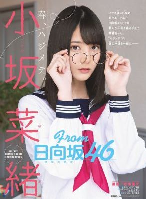 电视剧流金岁月全集免费观看