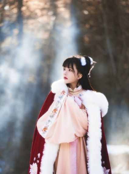女律师的堕落电影