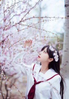 变形金刚在线观看